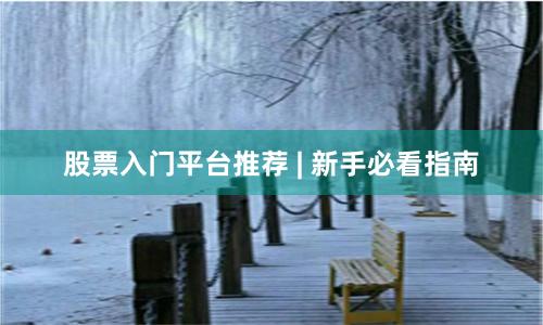 股票入门平台推荐 | 新手必看指南